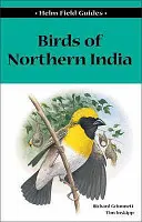 Oiseaux du nord de l'Inde - Birds of Northern India