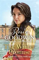 Promesse d'hiver - Par l'auteur à succès du Sunday Times - Winter Promise - From the Sunday Times bestselling author