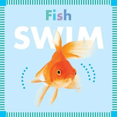 Les poissons nagent - Fish Swim