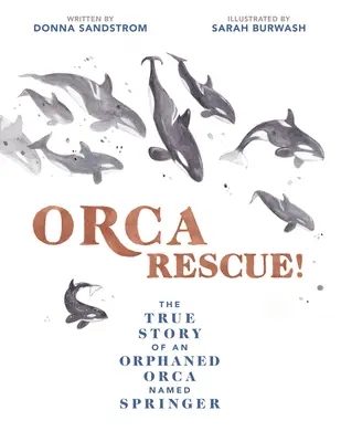 Orca Rescue ! L'histoire vraie d'une orque orpheline nommée Springer - Orca Rescue!: The True Story of an Orphaned Orca Named Springer