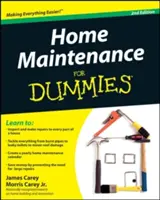L'entretien de la maison pour les nuls, 2e édition - Home Maintenance for Dummies, 2nd Edition