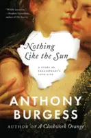 Rien de tel que le soleil : L'histoire de la vie amoureuse de Shakespeare - Nothing Like the Sun: A Story of Shakespeare's Love-Life