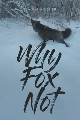 Pourquoi Fox Not - Why Fox Not