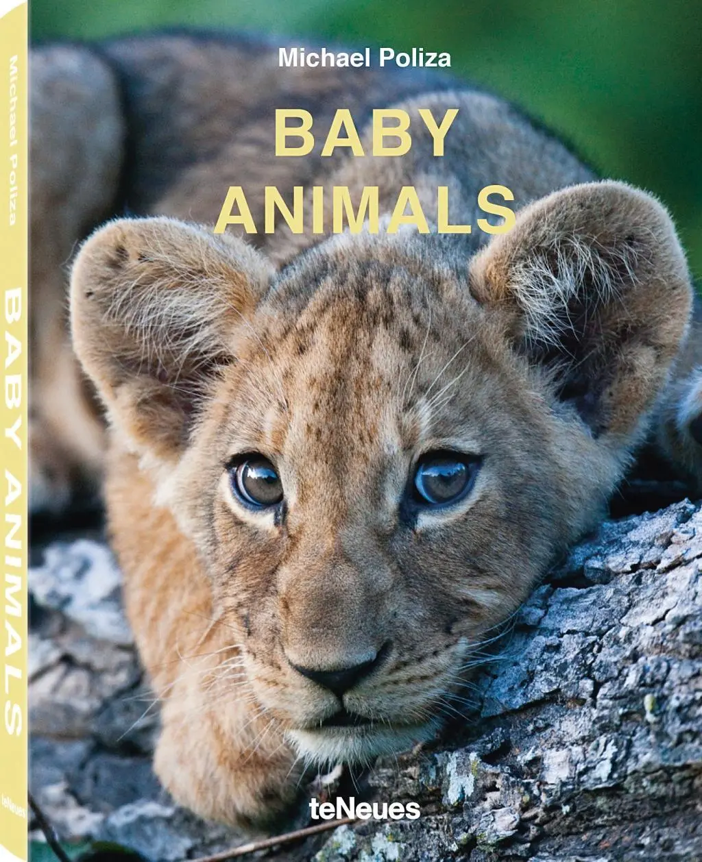 Bébés animaux - Baby Animals