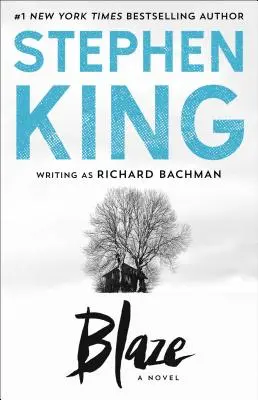 L'embrasement - Blaze