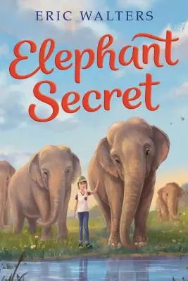 Le secret des éléphants - Elephant Secret