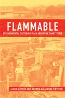 Flammable : La souffrance environnementale dans un bidonville argentin - Flammable: Environmental Suffering in an Argentine Shantytown