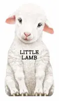 Petit agneau - Little Lamb