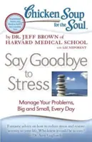 Soupe de poulet pour l'âme : Dites adieu au stress : Gérez vos problèmes, petits et grands, chaque jour - Chicken Soup for the Soul: Say Goodbye to Stress: Manage Your Problems, Big and Small, Every Day