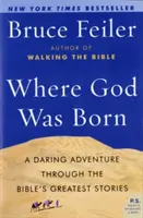 Là où Dieu est né : une aventure audacieuse à travers les plus grandes histoires de la Bible - Where God Was Born: A Daring Adventure Through the Bible's Greatest Stories