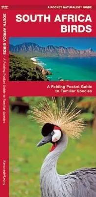 Les oiseaux d'Afrique du Sud : Un guide de poche pliable pour les espèces familières - South Africa Birds: A Folding Pocket Guide to Familiar Species