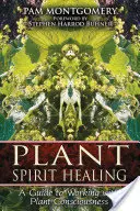 La guérison par l'esprit des plantes : Un guide pour travailler avec la conscience des plantes - Plant Spirit Healing: A Guide to Working with Plant Consciousness