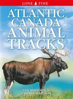 Traces d'animaux du Canada atlantique - Atlantic Canada Animal Tracks