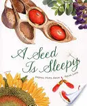 Une graine est endormie - A Seed Is Sleepy