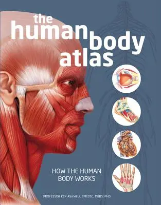 L'Atlas du corps humain : Le fonctionnement du corps humain - The Human Body Atlas: How the Human Body Works