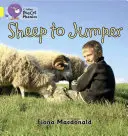 Du mouton au sauteur - Sheep to Jumper