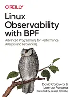 Observabilité Linux avec Bpf : Programmation avancée pour l'analyse des performances et la mise en réseau - Linux Observability with Bpf: Advanced Programming for Performance Analysis and Networking