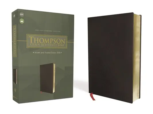 Esv, Bible de référence à chaînette de Thompson, cuir collé, noir, lettre rouge - Esv, Thompson Chain-Reference Bible, Bonded Leather, Black, Red Letter