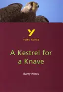 Kestrel for a Knave - tout ce dont vous avez besoin pour rattraper votre retard, étudier et vous préparer aux évaluations de 2021 et aux examens de 2022 - Kestrel for a Knave - everything you need to catch up, study and prepare for 2021 assessments and 2022 exams