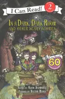 Dans une pièce sombre et obscure et autres histoires effrayantes - In a Dark, Dark Room and Other Scary Stories