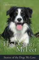 Le chien à mes pieds : histoires des chiens que nous aimons - The Dog at My Feet: Stories of the Dogs We Love