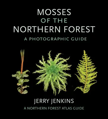 Les mousses de la forêt septentrionale : Guide photographique - Mosses of the Northern Forest: A Photographic Guide