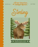 Sterling - L'orignal amoureux des vaches - Sterling - The lovestruck moose with a heart for cows