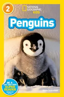 Lecteurs du National Geographic : Les pingouins ! Les pingouins ! - National Geographic Readers: Penguins!