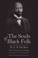 Les âmes des Noirs - The Souls of Black Folk