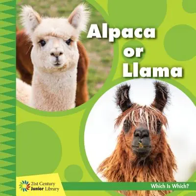 Alpaga ou lama - Alpaca or Llama