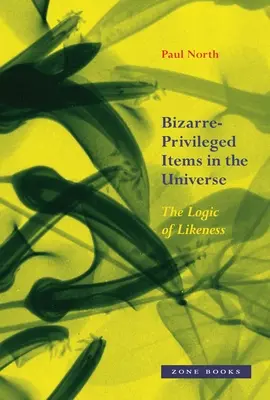 Les objets bizarres et privilégiés de l'univers : La logique de la ressemblance - Bizarre-Privileged Items in the Universe: The Logic of Likeness