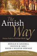 La voie amish : La foi patiente dans un monde périlleux - The Amish Way: Patient Faith in a Perilous World