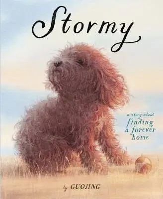 Stormy : Une histoire sur la recherche d'un foyer éternel - Stormy: A Story about Finding a Forever Home