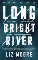 Long Bright River - un thriller familial intense - Long Bright River - an intense family thriller