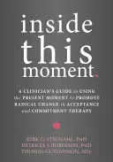 A l'intérieur de ce moment : Guide du clinicien pour promouvoir un changement radical à l'aide de la thérapie d'acceptation et d'engagement - Inside This Moment: A Clinician's Guide to Promoting Radical Change Using Acceptance and Commitment Therapy