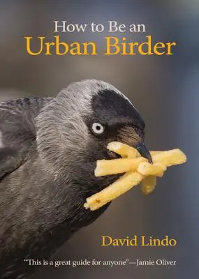 Comment devenir un ornithologue urbain - How to Be an Urban Birder