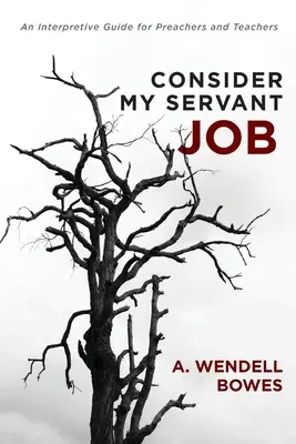 Considère mon travail de serviteur : Un guide d'interprétation pour les prédicateurs et les enseignants - Consider My Servant Job: An Interpretive Guide for Preachers and Teachers