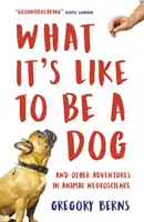 Ce que c'est que d'être un chien - Et autres aventures dans les neurosciences animales - What It's Like to Be a Dog - And Other Adventures in Animal Neuroscience