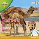 Mon Monde du Golfe et moi, niveau 2, lecteur d'ouvrages non romanesques : Les animaux et leurs bébés - My Gulf World and Me Level 2 non-fiction reader: Animals and their babies