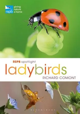 Coccinelles Rspb Spotlight - Rspb Spotlight Ladybirds