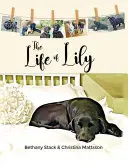 La vie de Lily - The Life of Lily