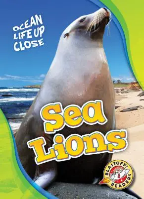 Lions de mer - Sea Lions