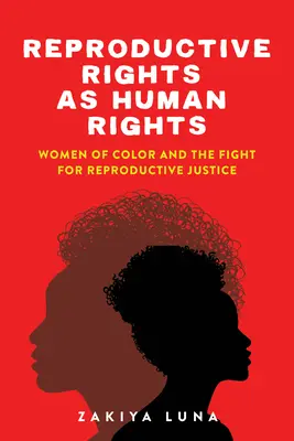 Les droits reproductifs en tant que droits de l'homme : Les femmes de couleur et la lutte pour la justice en matière de procréation - Reproductive Rights as Human Rights: Women of Color and the Fight for Reproductive Justice