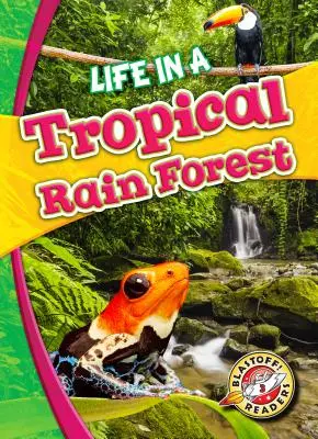 La vie dans une forêt tropicale - Life in a Tropical Rain Forest