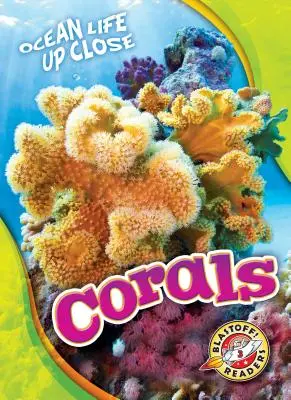 Coraux - Corals