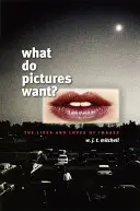 Que veulent les images ? La vie et l'amour des images - What Do Pictures Want?: The Lives and Loves of Images