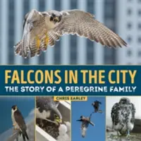 Les faucons en ville : L'histoire d'une famille de Peregine - Falcons in the City: The Story of a Peregine Family