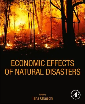 Effets économiques des catastrophes naturelles : Fondements théoriques, méthodes et outils - Economic Effects of Natural Disasters: Theoretical Foundations, Methods, and Tools