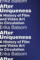 Après l'unicité : Une histoire de l'art cinématographique et vidéo en circulation - After Uniqueness: A History of Film and Video Art in Circulation