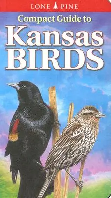 Guide compact des oiseaux du Kansas - Compact Guide to Kansas Birds